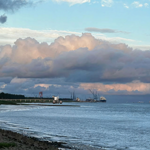 《春日暖阳下的花漾草地 》