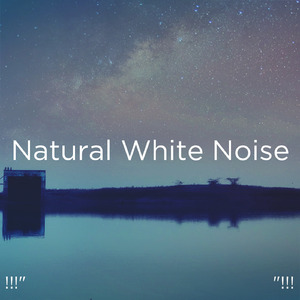 화이트 노이즈 수면