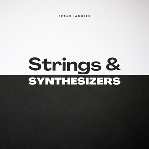 Strings & Synthesizers