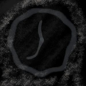 【LoFi】“黑 暗 时 钟”