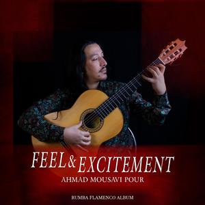 Flamenco Guitar dignified (Taranta mode)