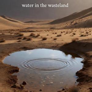 Water in the Wasteland