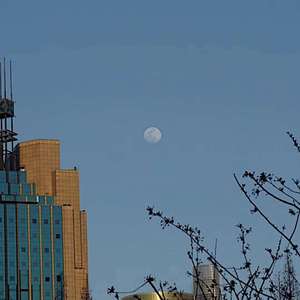 等风来临的时候，就孤独死去吧