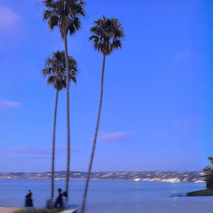 关忆北 (cover 宋冬野）