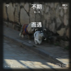 你找到月亮了吗