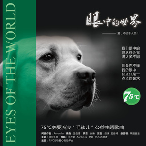 《眼中的世界》 75℃爱心志愿者合唱版