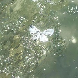 我喜欢上你时的内心活动