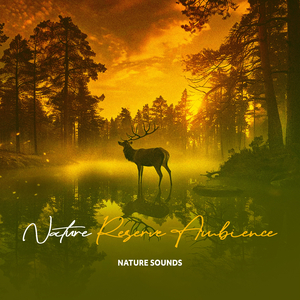 Healthiest Habit