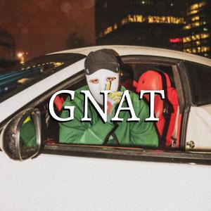 GNAT