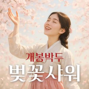 벚꽃샤워