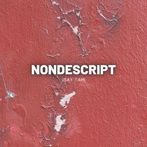 Nondescript