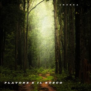 Platone e il bosco