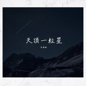 天顶一粒星（翻自 Tizzy T）