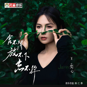 舍不得放不下忘不掉