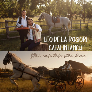 Stai calutule stai bine