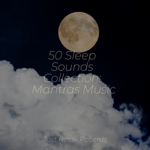 Stardust's Moonlit Melody