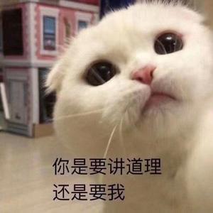 沦陷(COVER：魏晨)