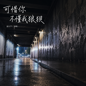 可惜你不懂我狼狈