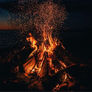 Bonfire (Remix)