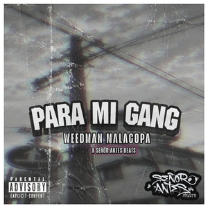 Para Mi Gang