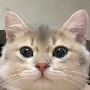 舌尖上的哈基米