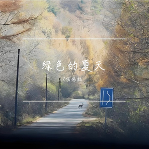 大雁飞过星空 伴奏