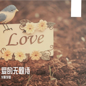 《月光下的爱》钟爱红烧鲫鱼-浪漫-流行.mp4