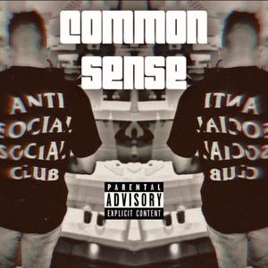 Common Sense