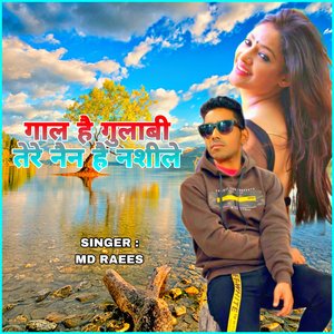 गाल हैं गुलाबी तेरे नैन है नशीले