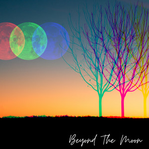Beyond The Moon