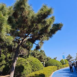 交换秘密，未说爱你