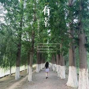 有可能的夜晚(cover 曾轶可）
