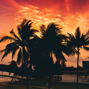 左手温暖右手的领悟