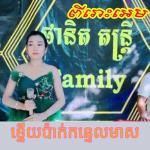 ខ្នើយប៉ាក់កន្ទេលមាស