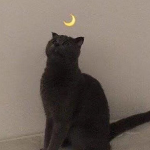 关于睡不着的时候都在干嘛