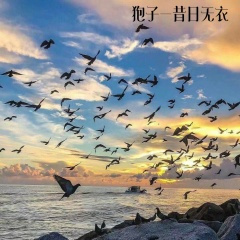 飞车重低音NANANA