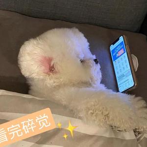 4AM（翻自 EnjiA (魏恩佳)）