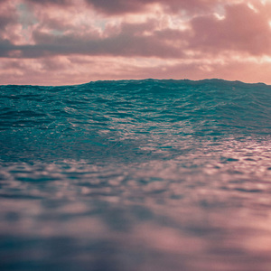 Quiescence