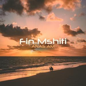 Fin Mshiti