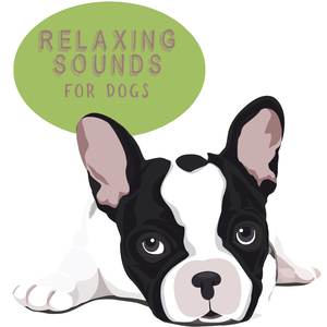 Music for Dogs