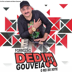 Zé Priquito (Ao Vivo)