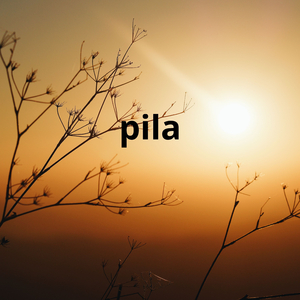 pila
