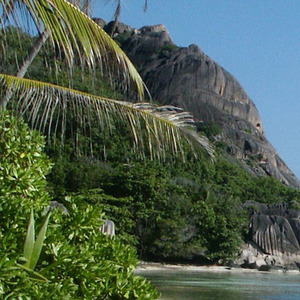 这就是我 (山歌版)