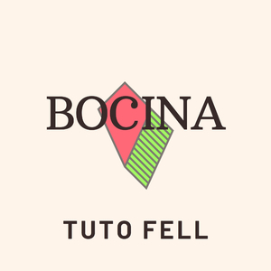 Bocina