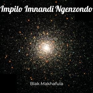 Impilo Imnandi Ngenzondo
