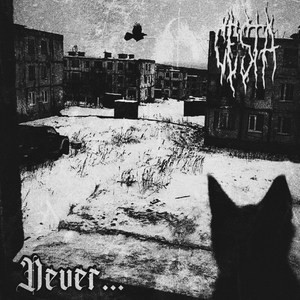 The moon floats across the black skies