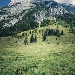 草原沙场 战马奔腾