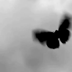 《山丘与远行的我》女声-放松-民谣(1)