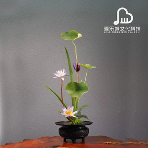 梅花三弄补肾益肾