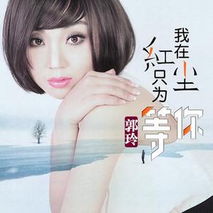 我在红尘只为等你 (DJ版)